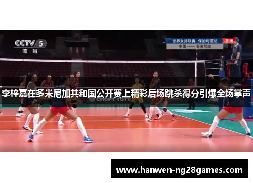 李梓嘉在多米尼加共和国公开赛上精彩后场跳杀得分引爆全场掌声